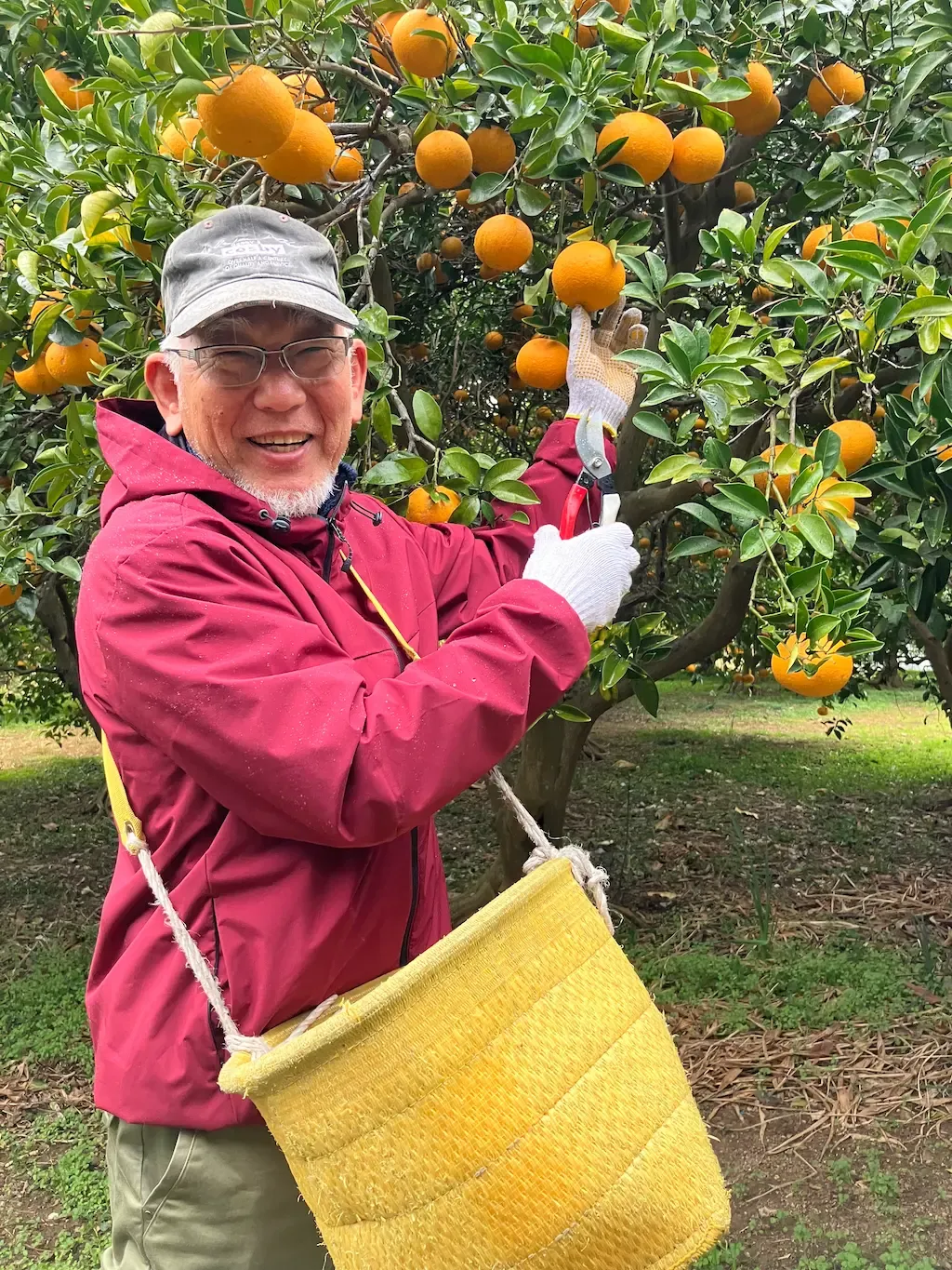 安武農園との取組み1